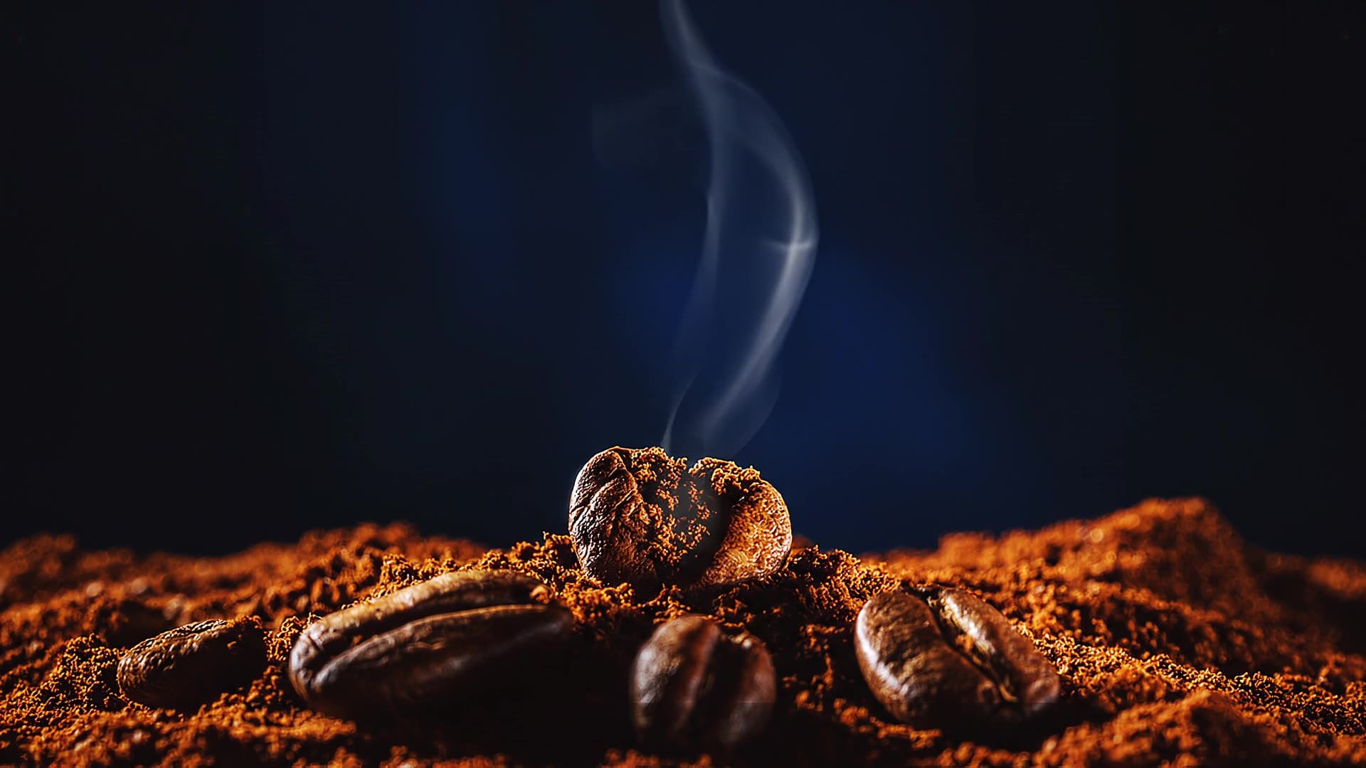 Roasted Kenyan coffee beans on fresh grounds